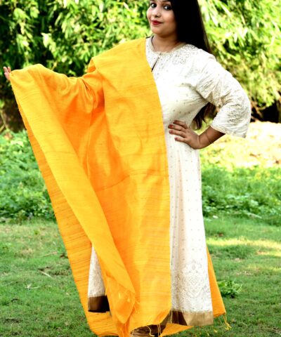 DUPION SILK DUPATTA
